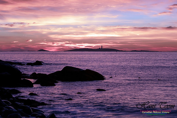 Sambro Island Sunrise 29