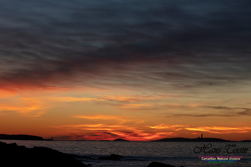 Sambro Island Sunrise 31