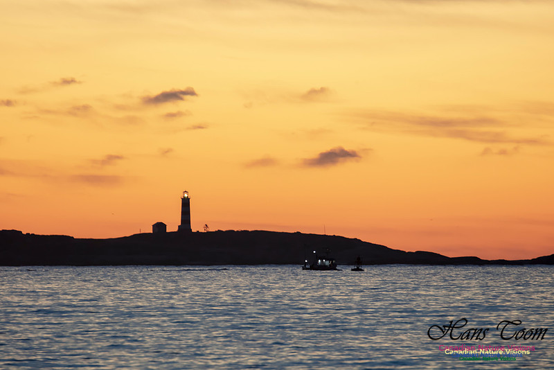Sambro Island Sunrise 34