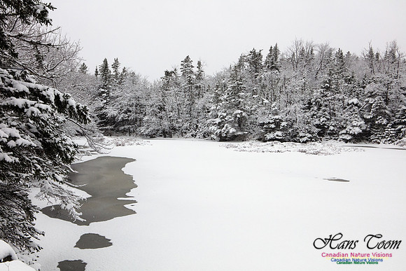 First Winter Snow 1