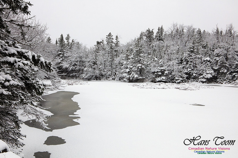 First Winter Snow 1