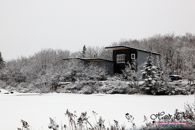 Grand Lake Home 1