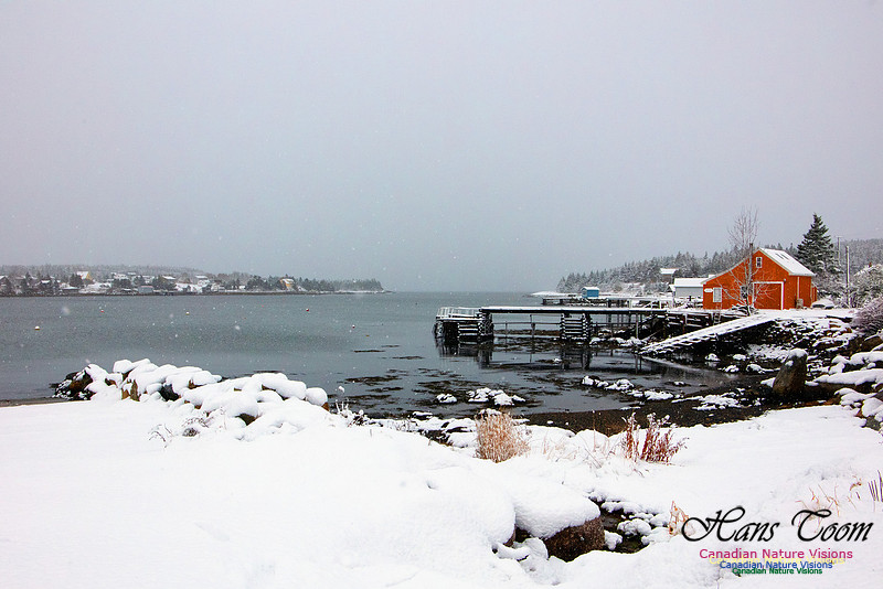 Ketch Harbour 1