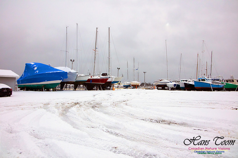 Sambro Harbour Dock 1