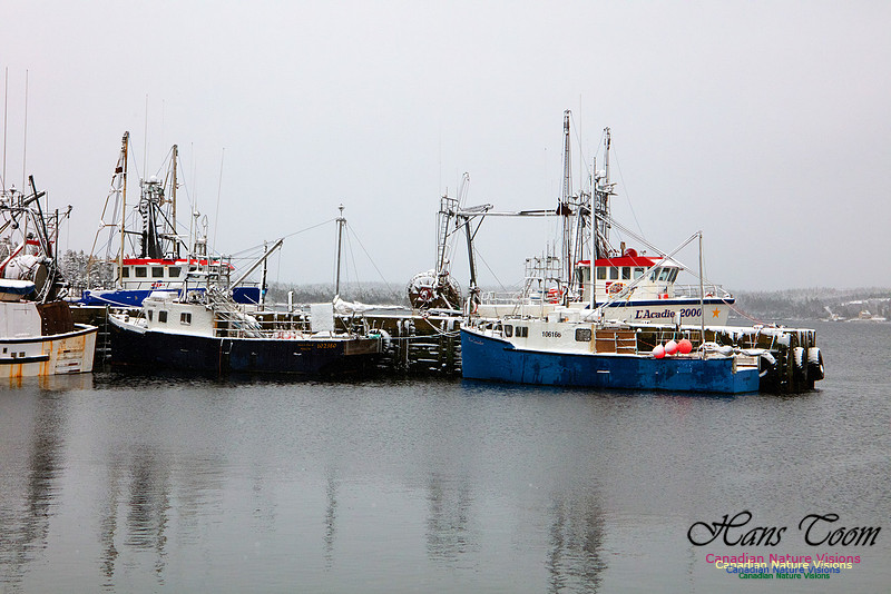 Sambro Harbour Fishing Fleet at Rest 1