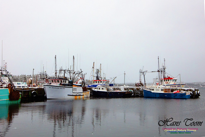 Sambro Harbour Fishing Fleet at Rest 2