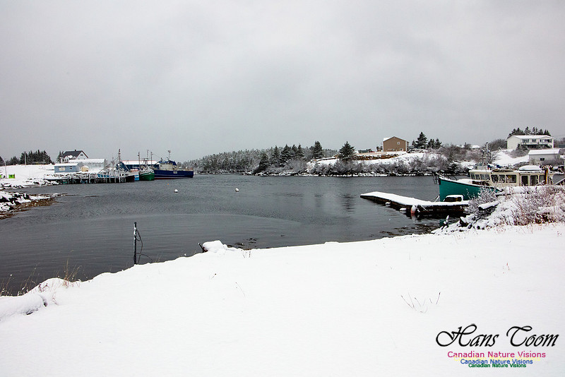 Sambro Harbour Fishing Fleet at Rest 3