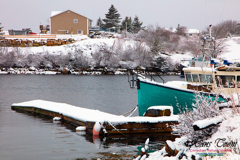 Sambro Harbour Fishing Fleet at Rest 4