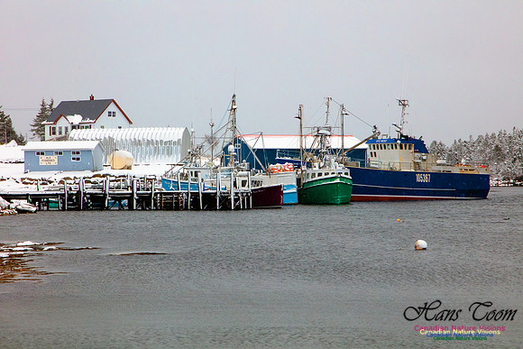 Sambro Harbour Fishing Fleet at Rest 5
