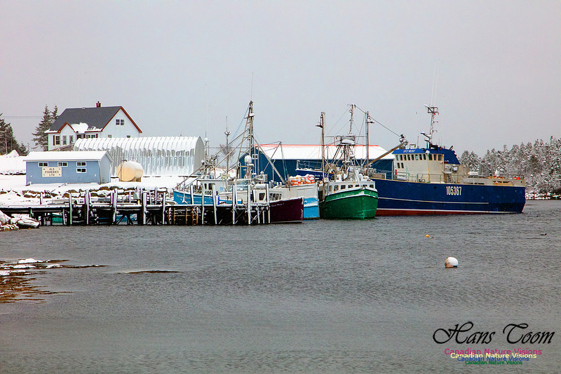 Sambro Harbour Fishing Fleet at Rest 5
