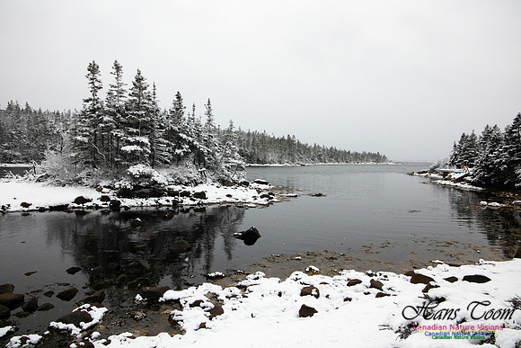 Sambro Head 1