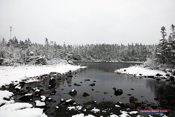 Sambro Head 2