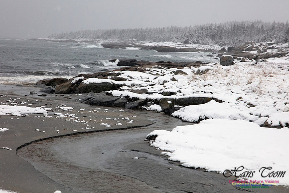 Sandy Cove 1