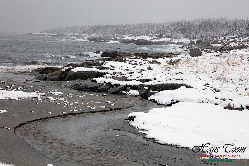 Sandy Cove 1