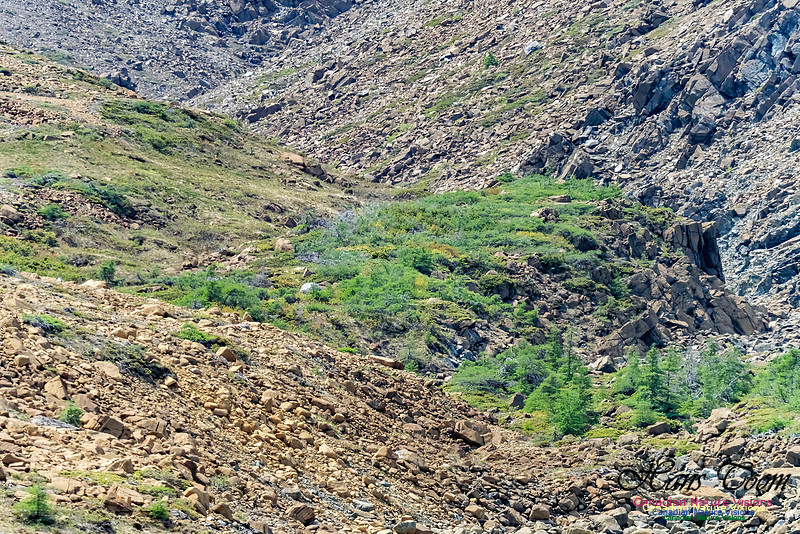 Table Mountains 126 copy