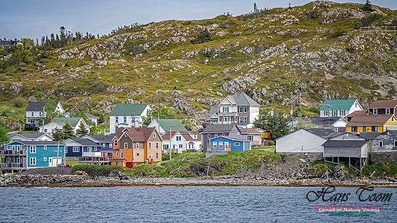 Twillingate 119 copy