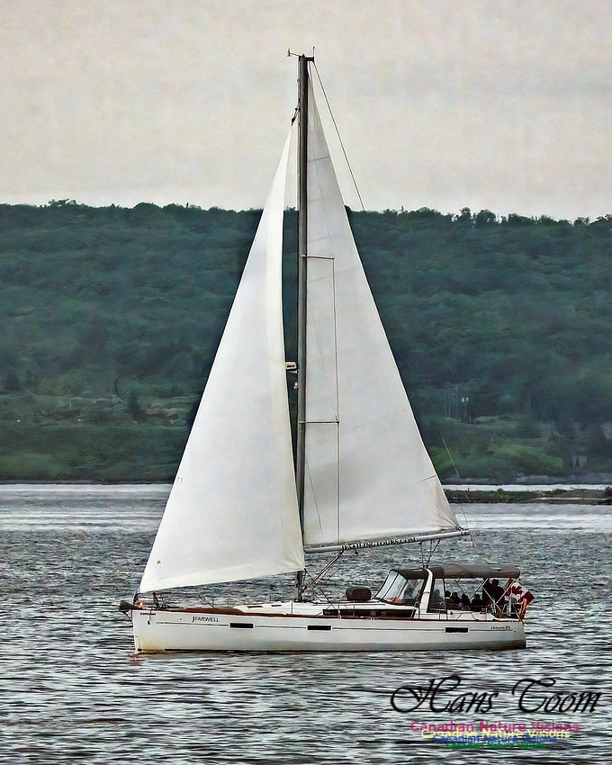 Harbour Traffic 117