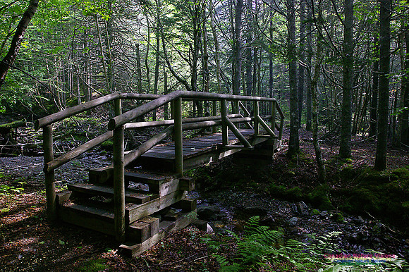 Cape Chignecto Trail Bridge