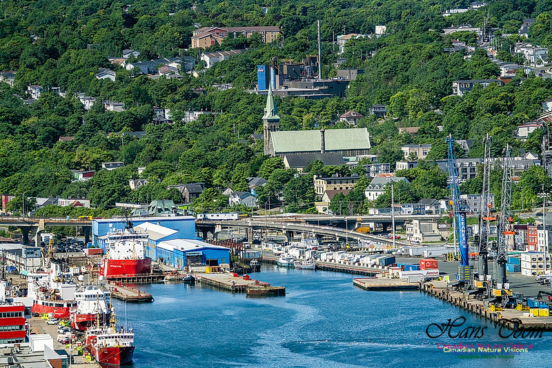 St. John's, Newfoundland 104