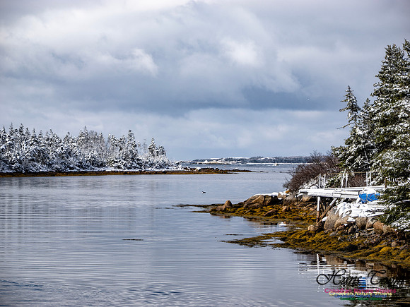 April Snow in Nova Scotia 213