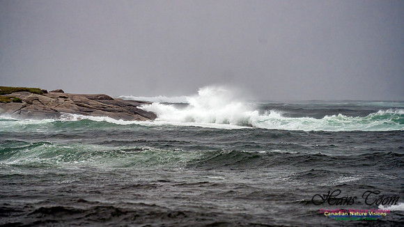 Nova Scotia Gale 2024-09-07 142