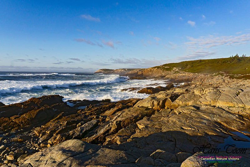 Early Morning on the Coastal Barrens 118