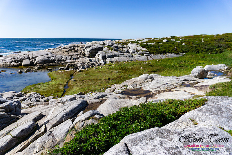 Early Morning on the Coastal Barrens 123