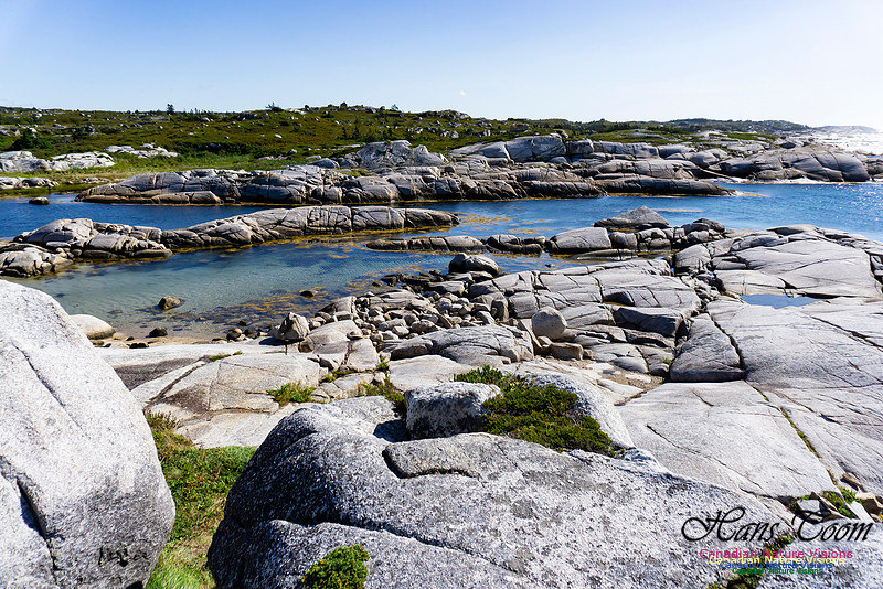 Early Morning on the Coastal Barrens 125