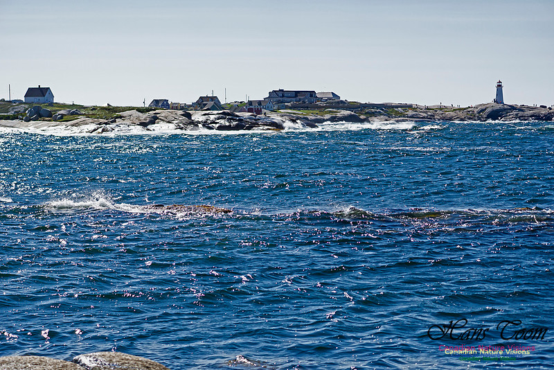 Peggy's Cove 100