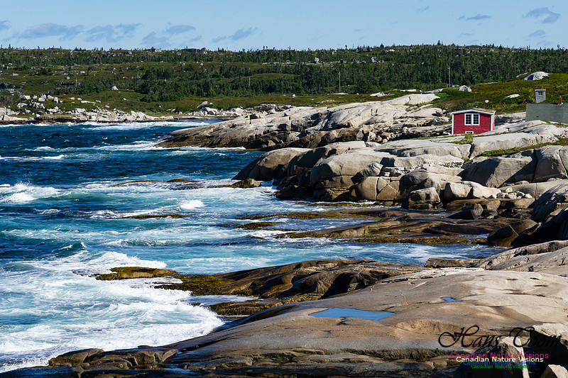 Peggy's Cove 101
