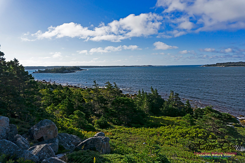 West Pennant Point 100