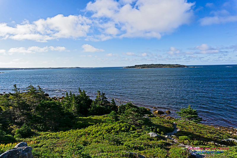 West Pennant Point 101