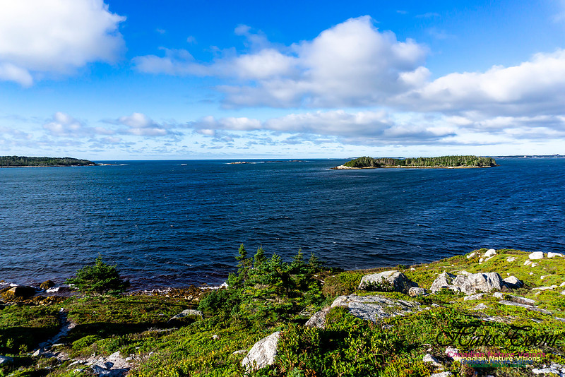 West Pennant Point 102
