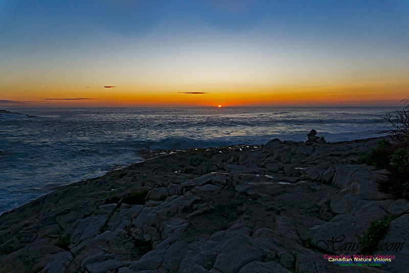 Early Morning on the Coastal Barrens 100