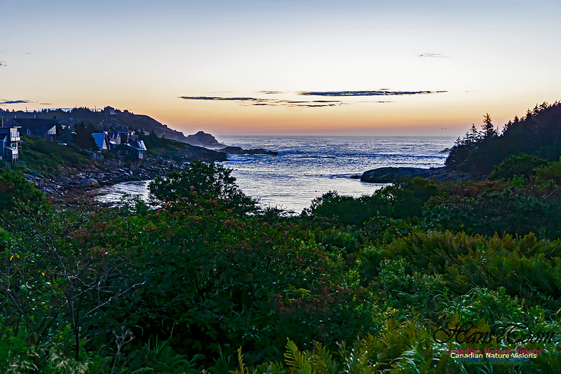 Early Morning on the Coastal Barrens 103