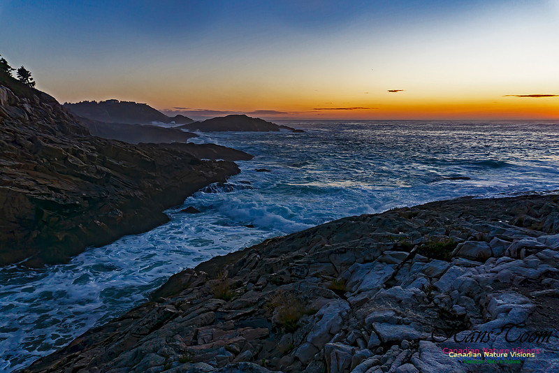 Early Morning on the Coastal Barrens 105