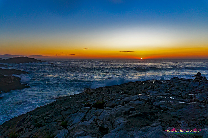Early Morning on the Coastal Barrens 106