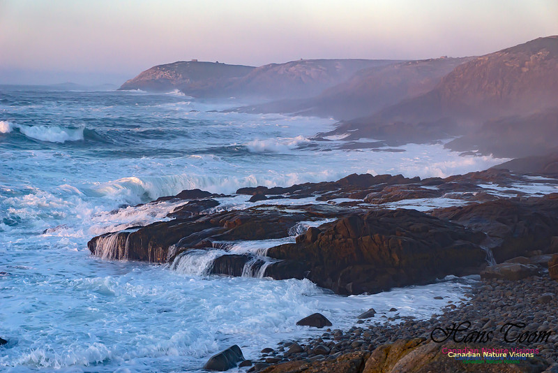Early Morning on the Coastal Barrens 107