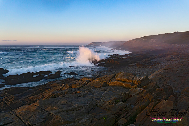 Early Morning on the Coastal Barrens 108