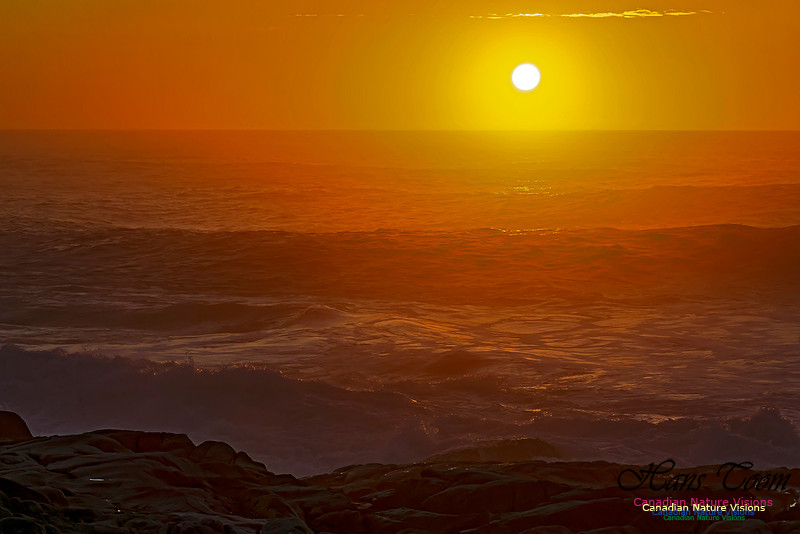 Early Morning on the Coastal Barrens 111