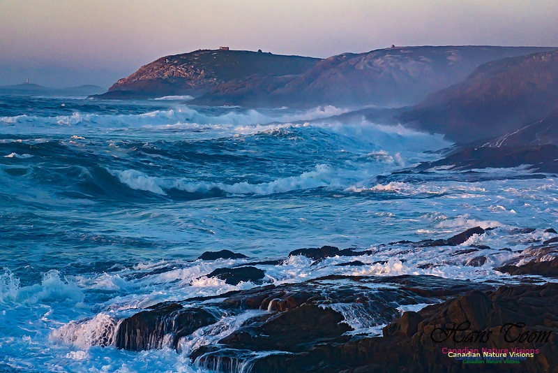 Early Morning on the Coastal Barrens 110