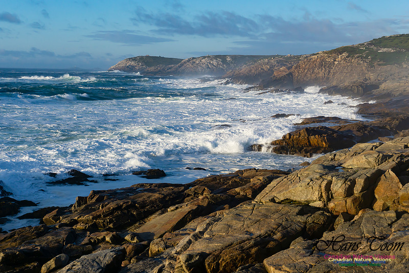 Early Morning on the Coastal Barrens 117