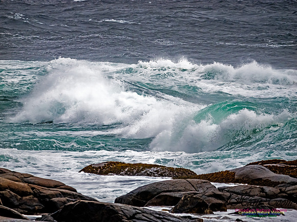 November Gale 1 111