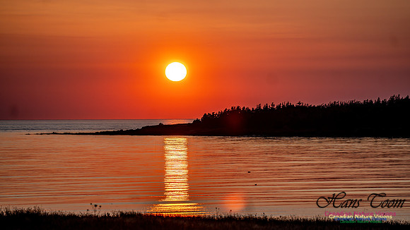 Brier Island Sunset 102
