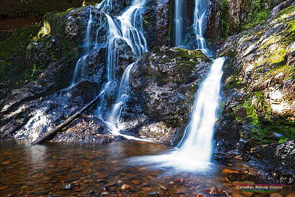 Wentworth Falls 108