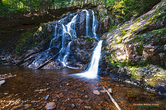 Wentworth Falls 109