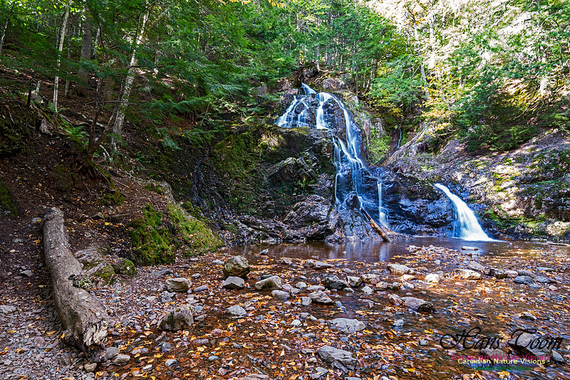 Wentworth Falls 111