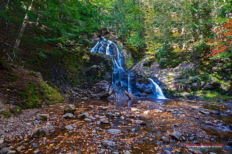 Wentworth Falls 112