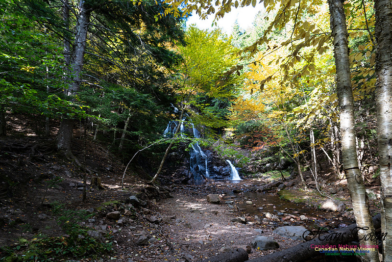 Wentworth Falls 100
