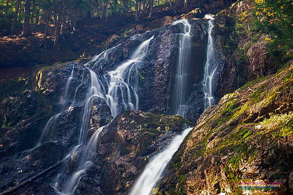 Wentworth Falls 103